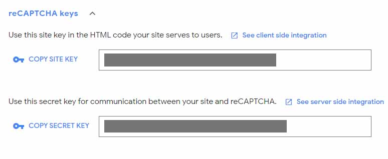 reCAPTCHA Keys